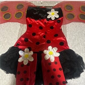 Leg avenue daisy lady bug costume